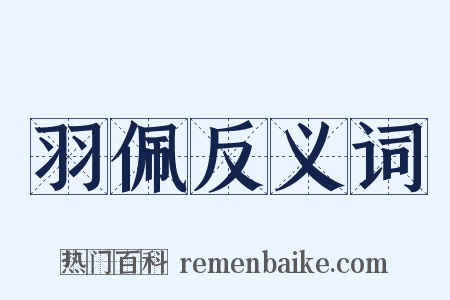 羽佩反义词是什么意思的图片